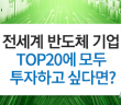 전세계 반도체 기업 TOP20에 모두 투자하고 싶다면?